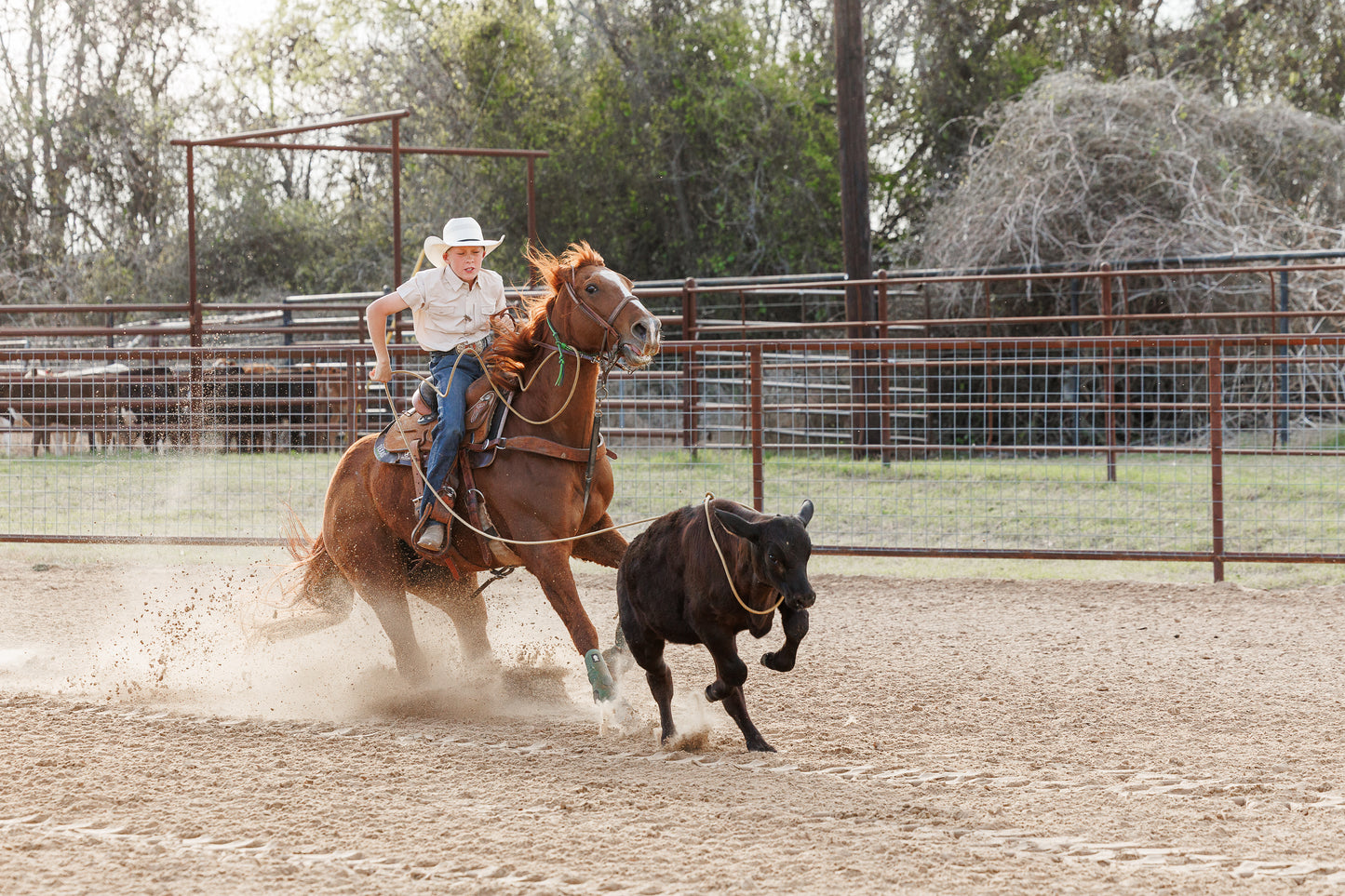 The Sandhills Short Sleeve